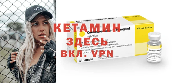 стаф Алзамай