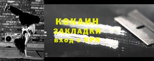 стаф Алзамай