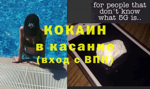 стаф Алзамай