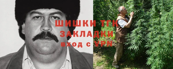 амф Алексин
