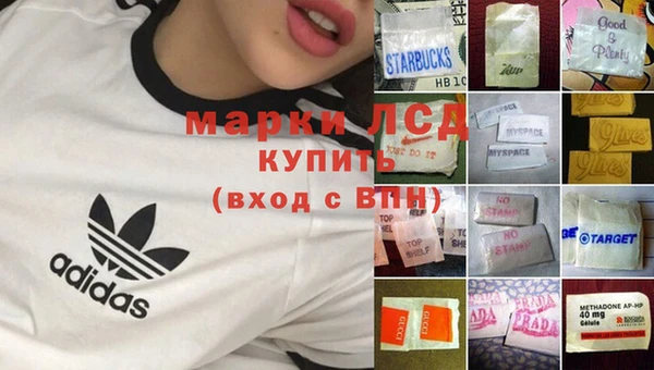 стаф Алзамай