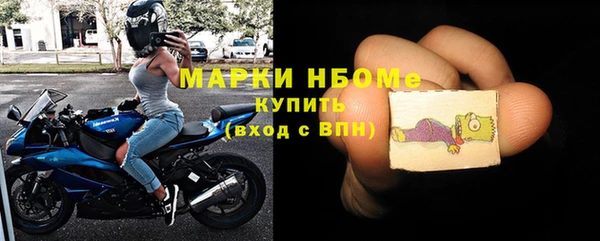 стаф Алзамай