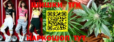 apvp Моздок