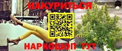 apvp Моздок