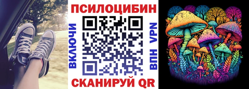 hydra Находка Галлюциногенные грибы Magic Shrooms