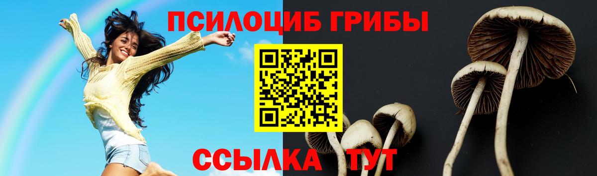 Галлюциногенные грибы GOLDEN TEACHER  Галлюциногенные грибы GOLDEN TEACHER  Вход с VPN  Находка 
